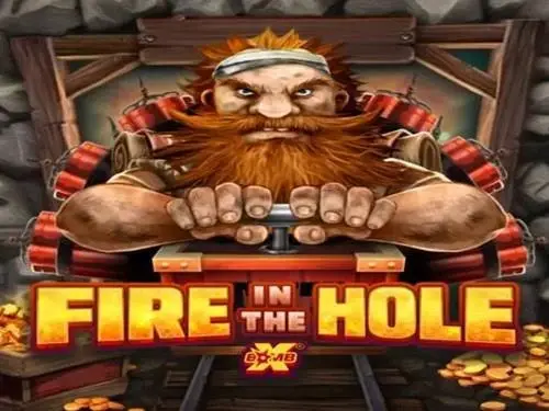 fir in the hole